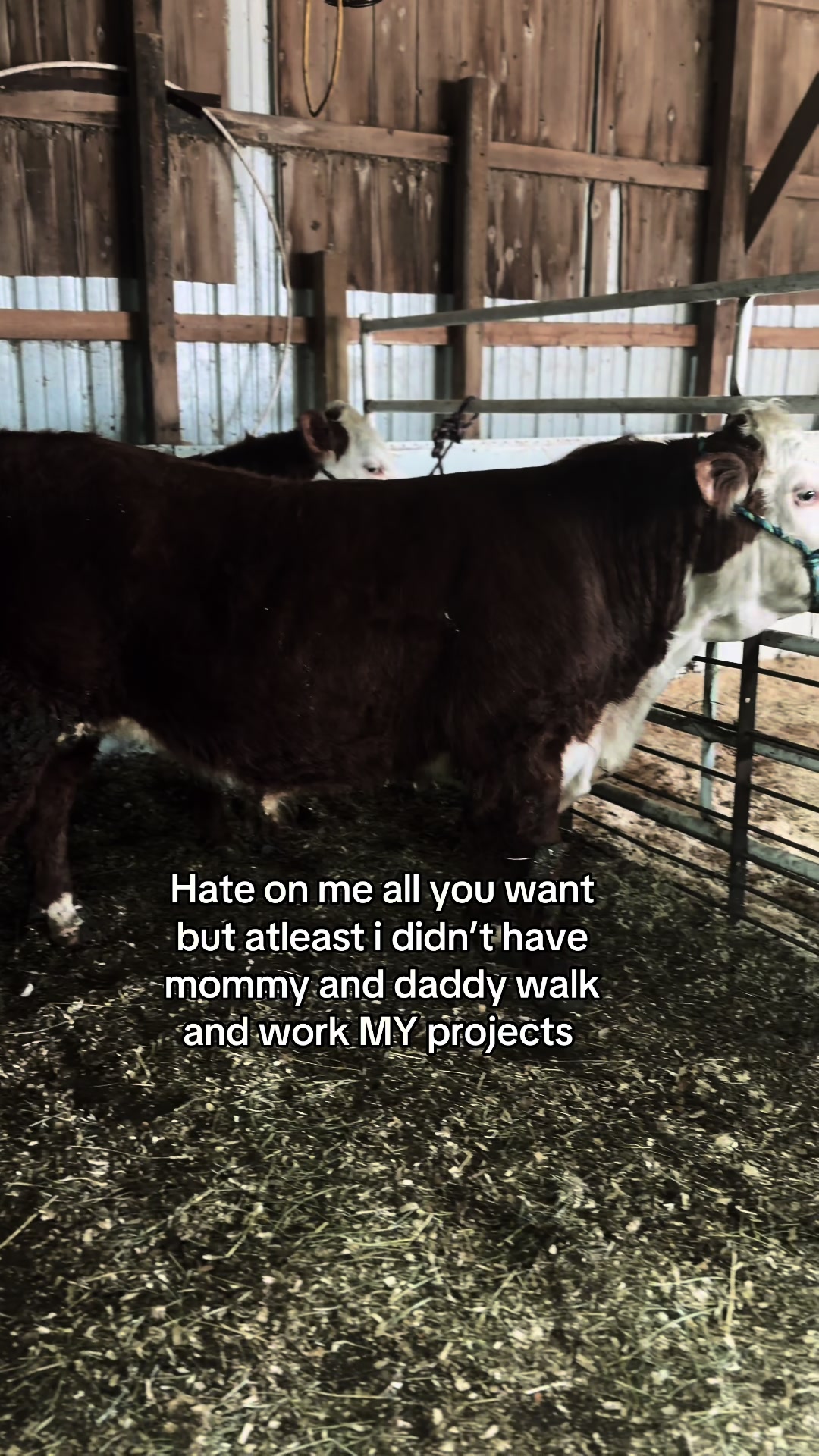 @Sylvia🐄