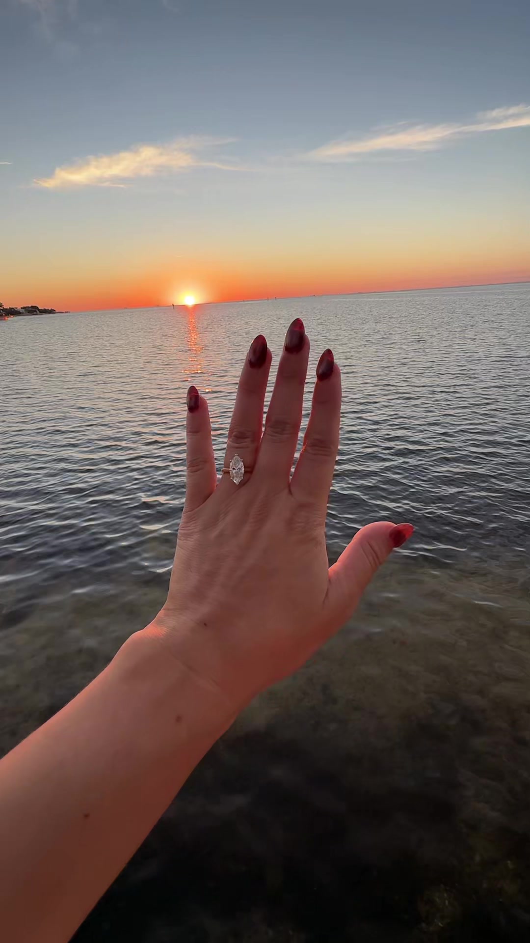 @Ivyfromearth