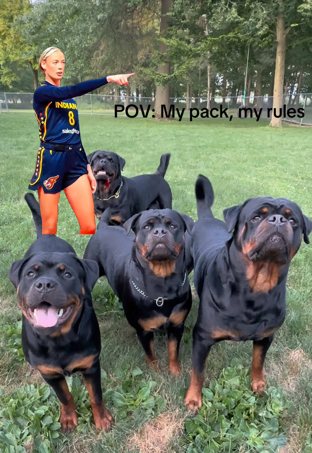 @Buckeyerotts