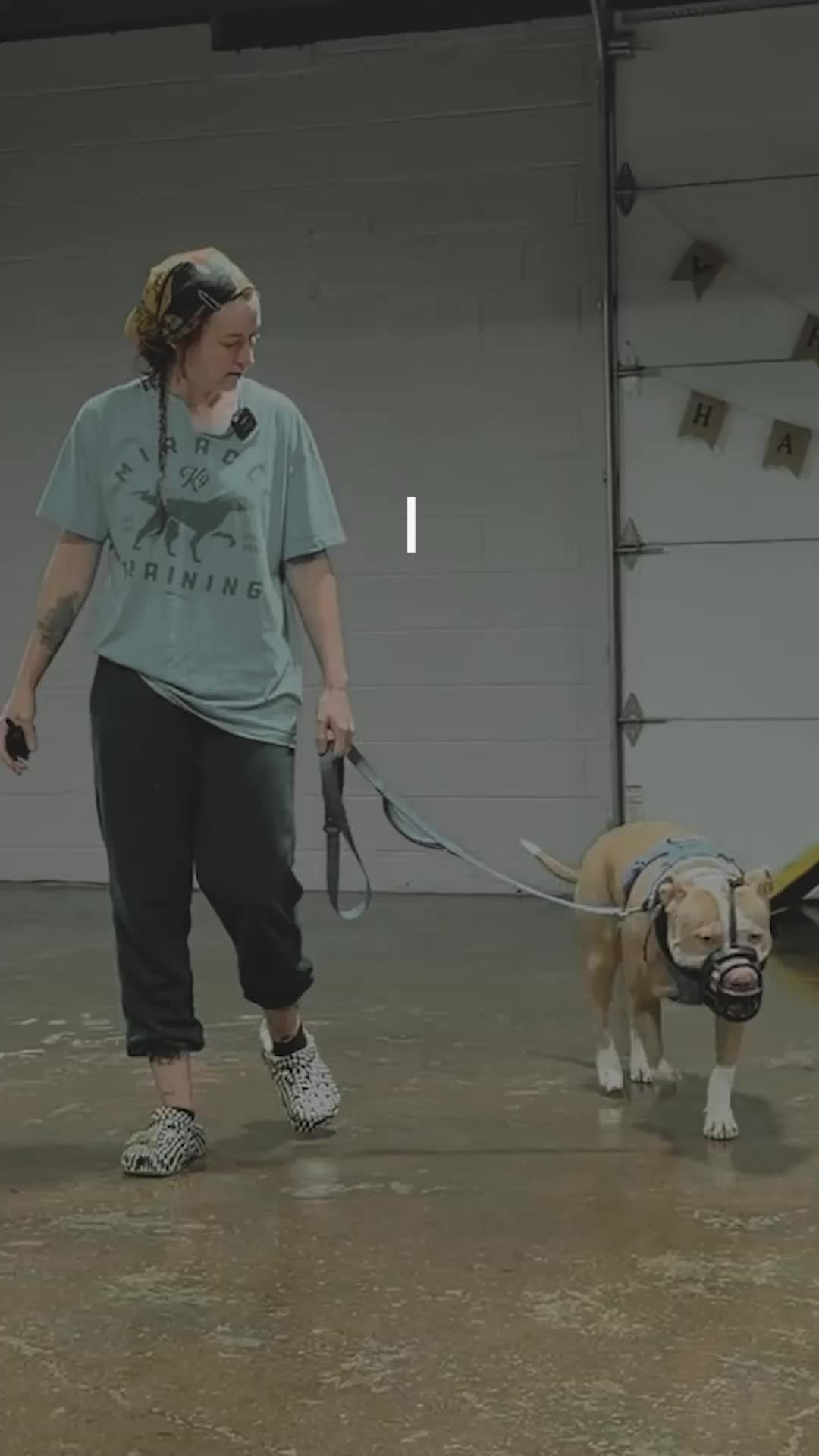 @Miracle K9 Training