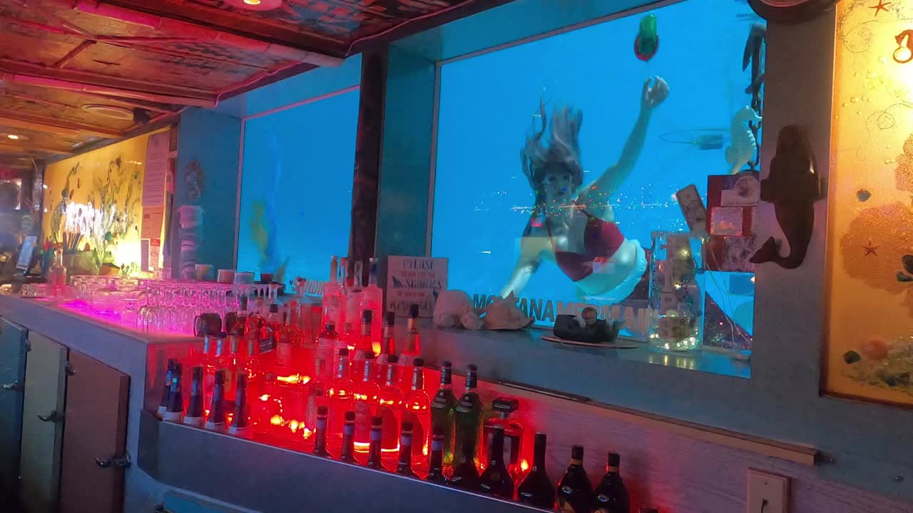 @Little Mermaid Aerial