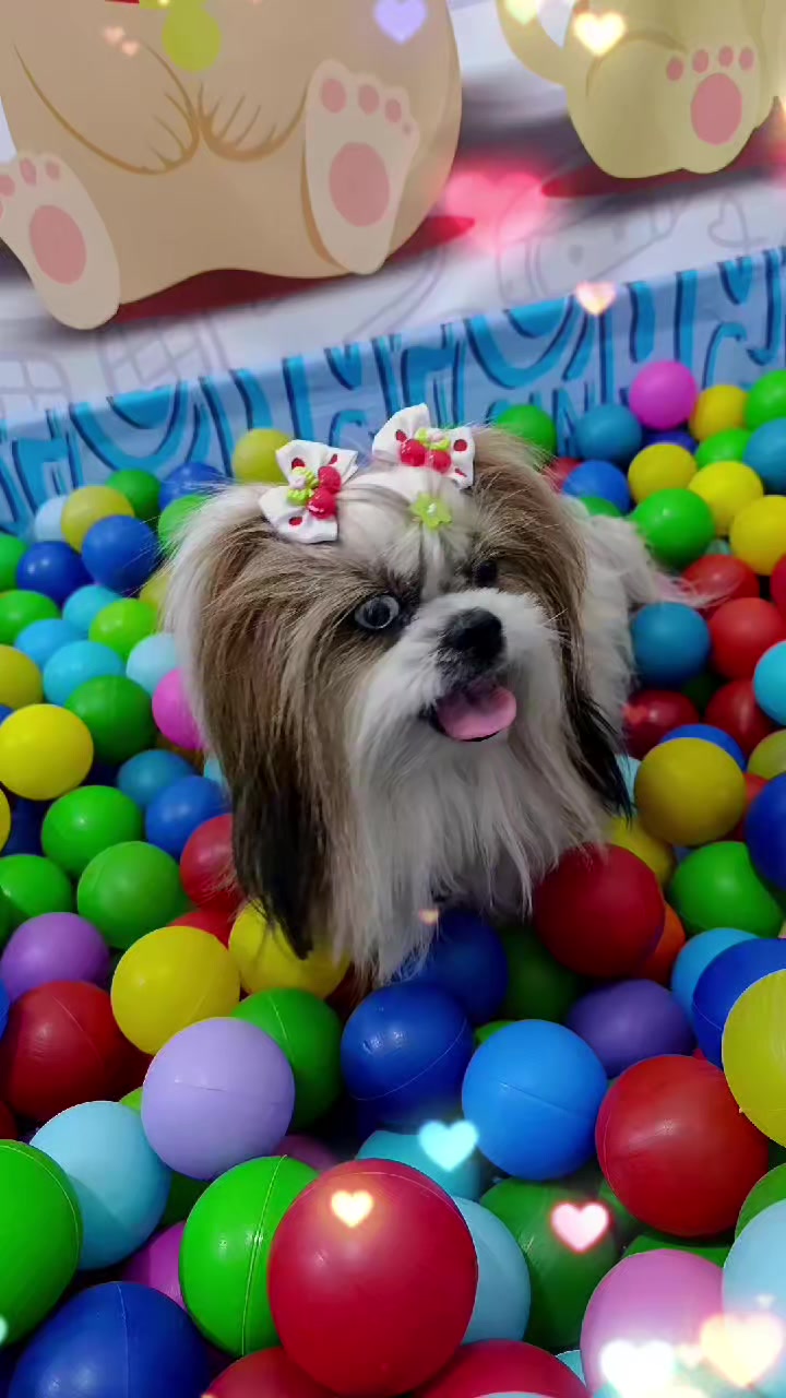 @Dog Ville Petcare