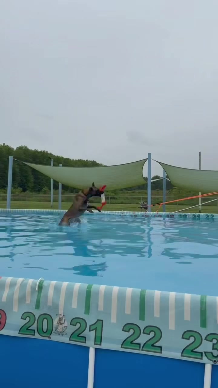 @Dukes K9 Dash n Splash