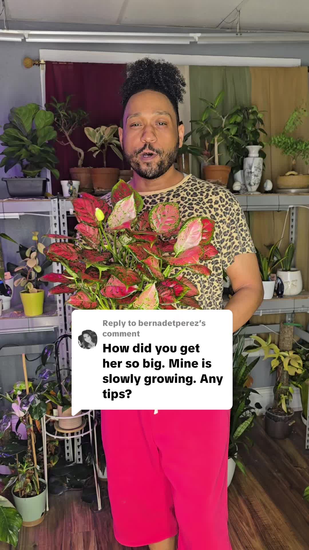 @JT - BigEGOPlants