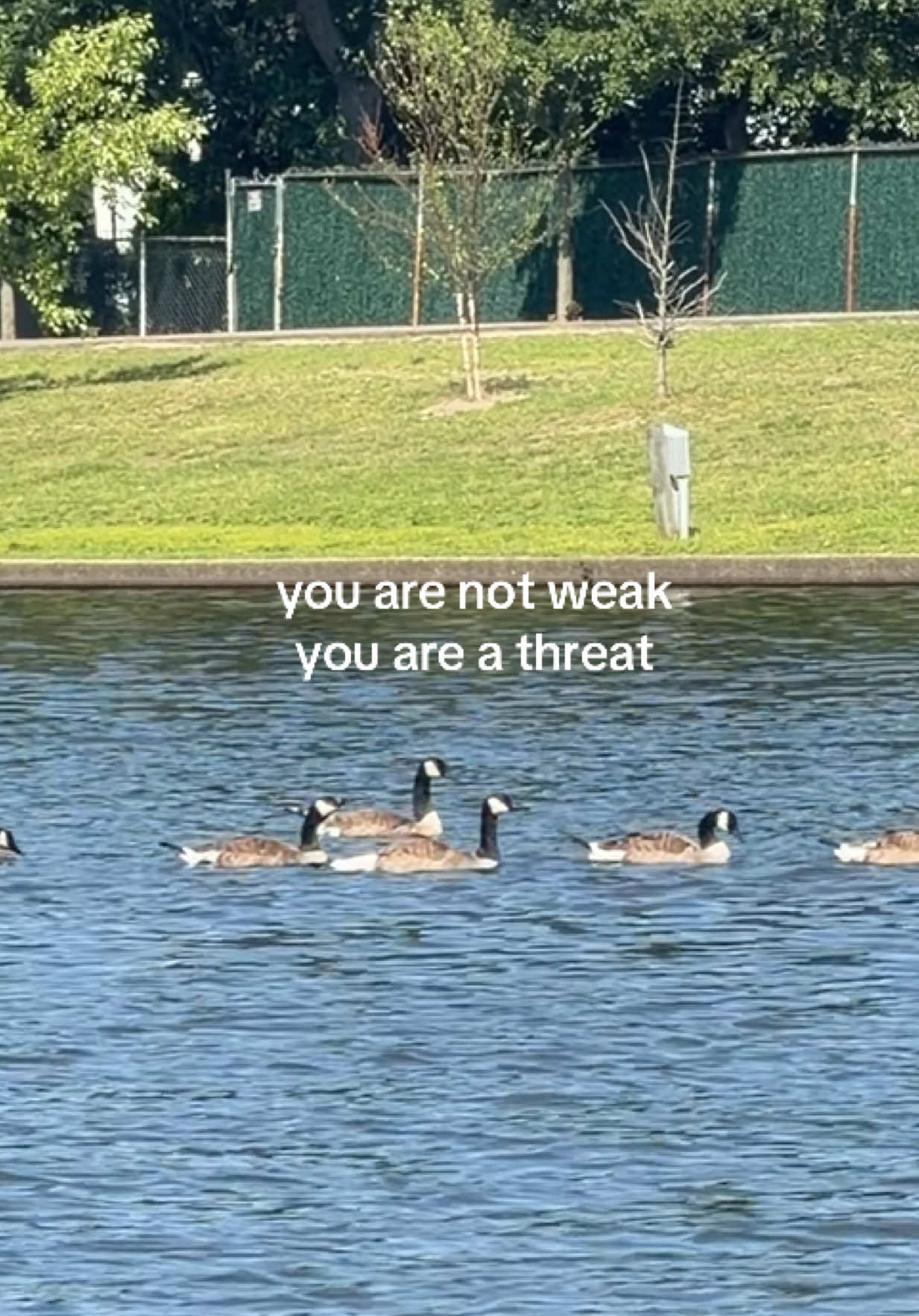 @VALENTINA