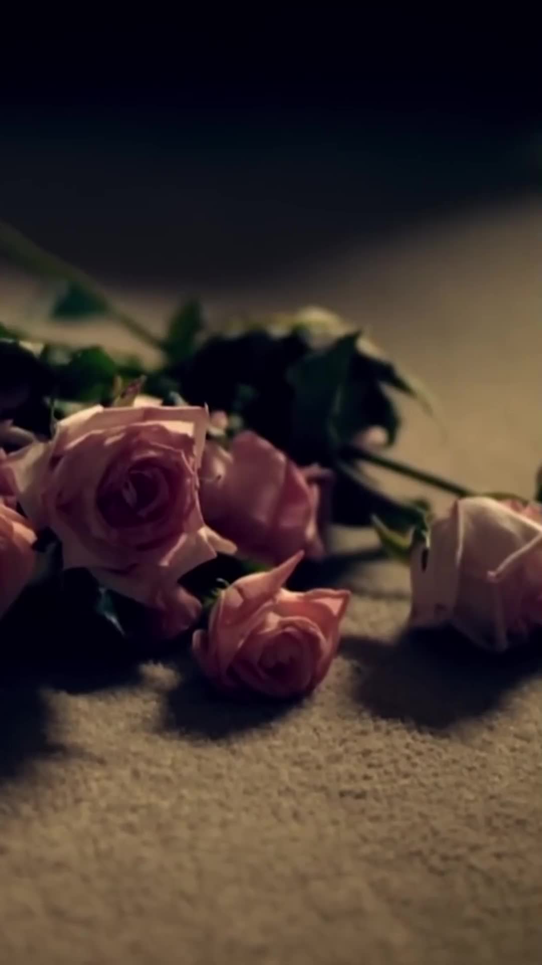 @Soulsongs291💖