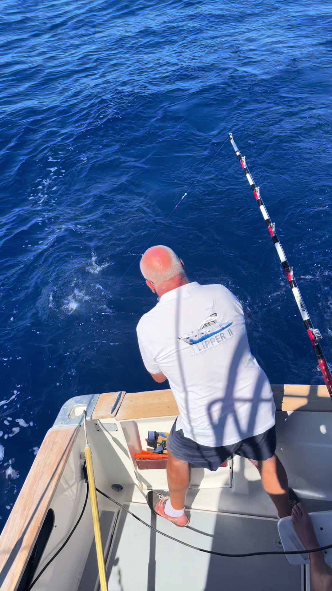 @Flipper II Madeira Fishing