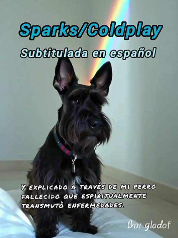 @Laura de los Perros
