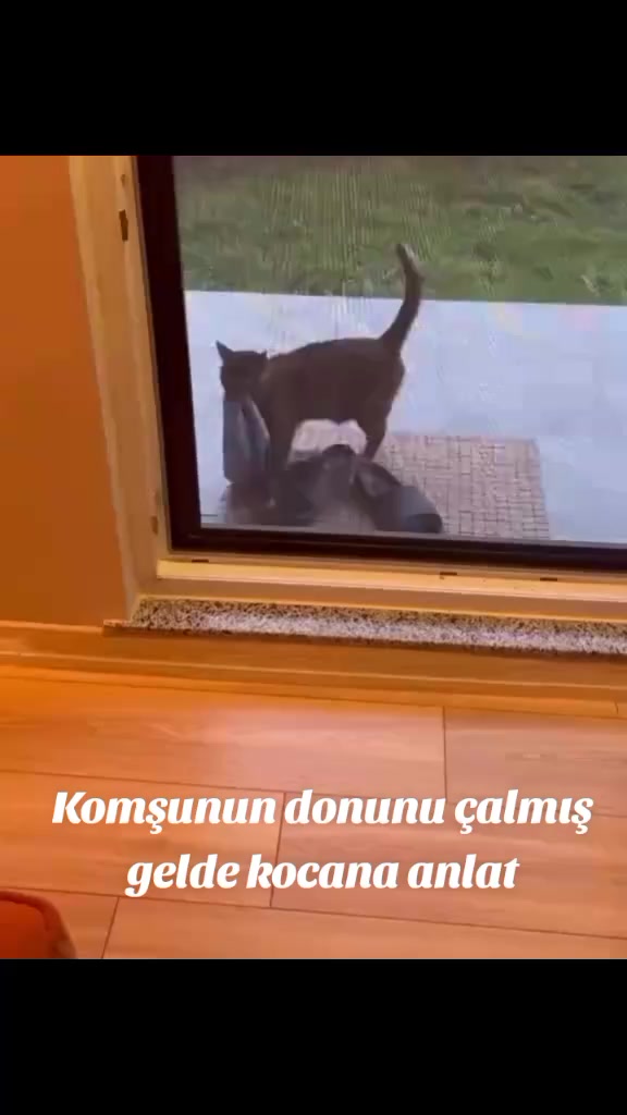 @Kader