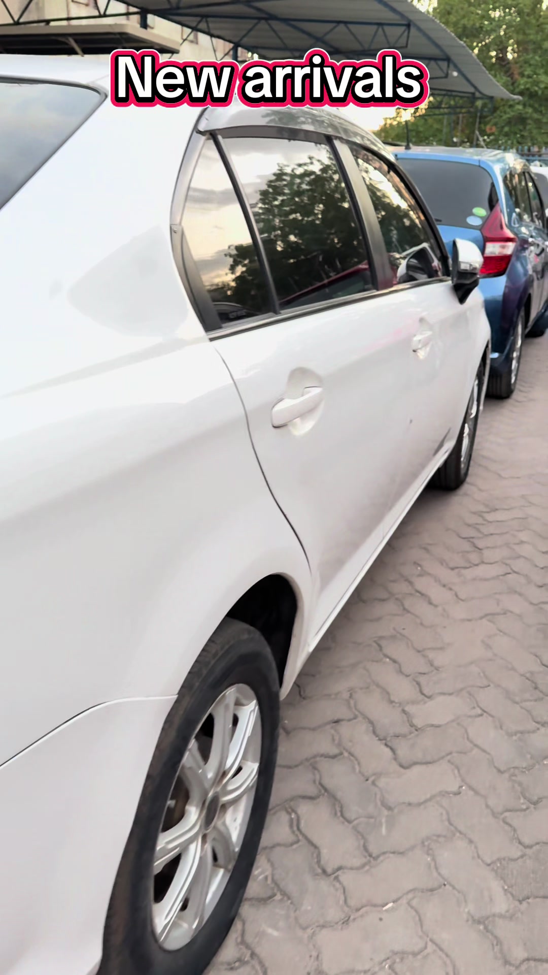 @Robimax Auto Trading