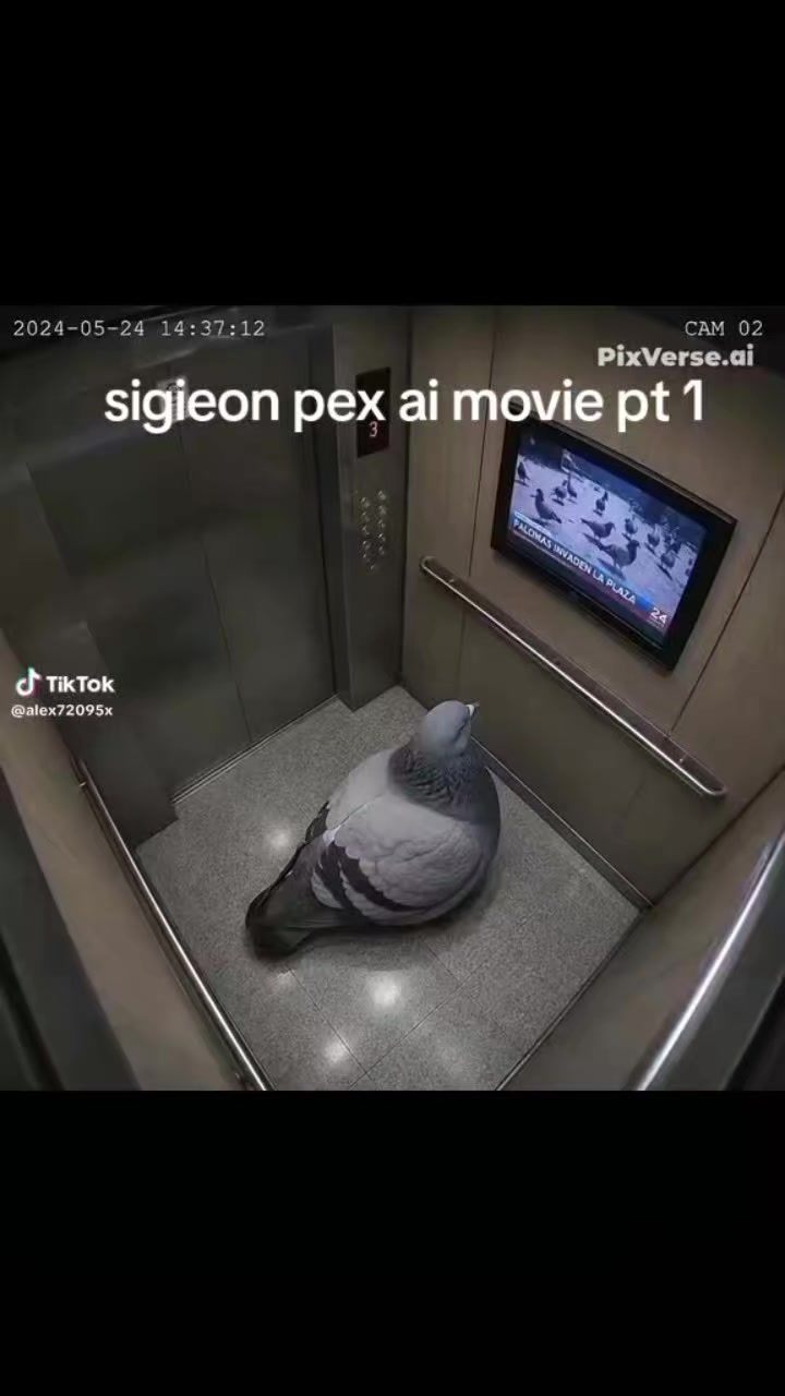 @FLmmmt