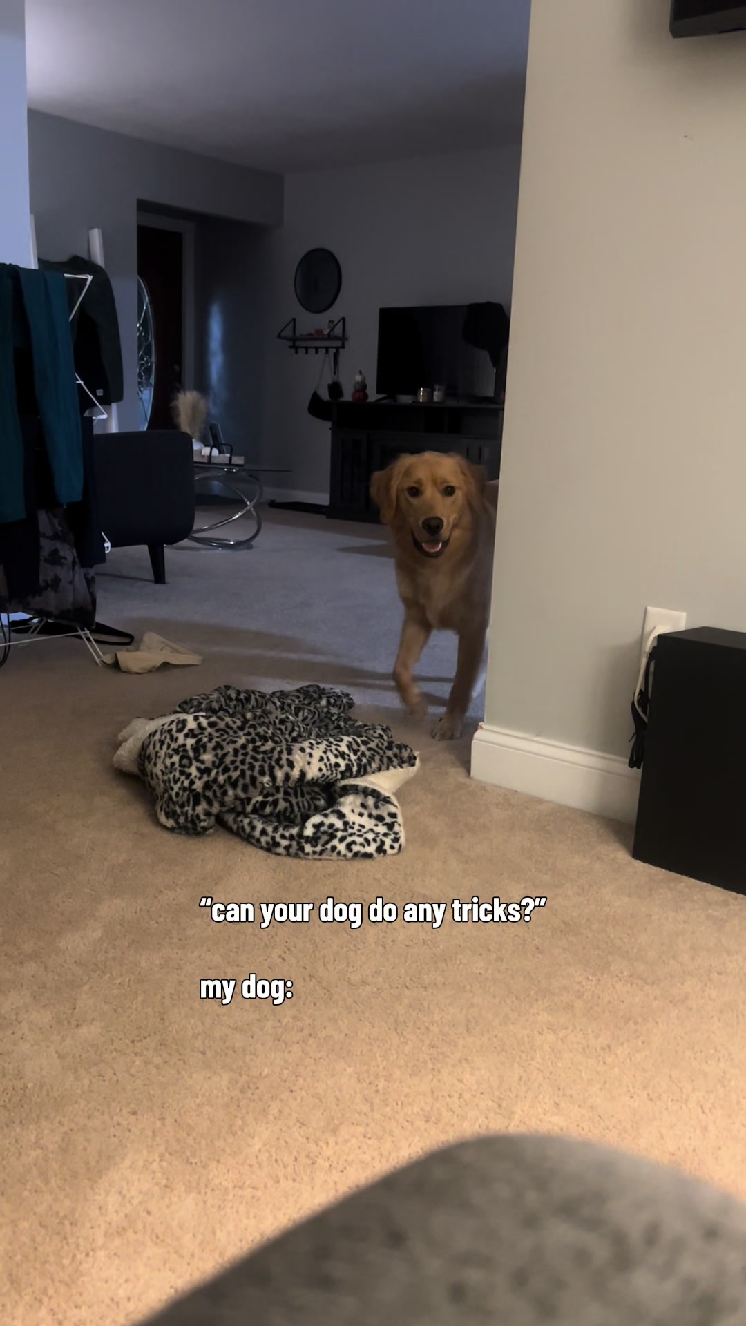 @Cash