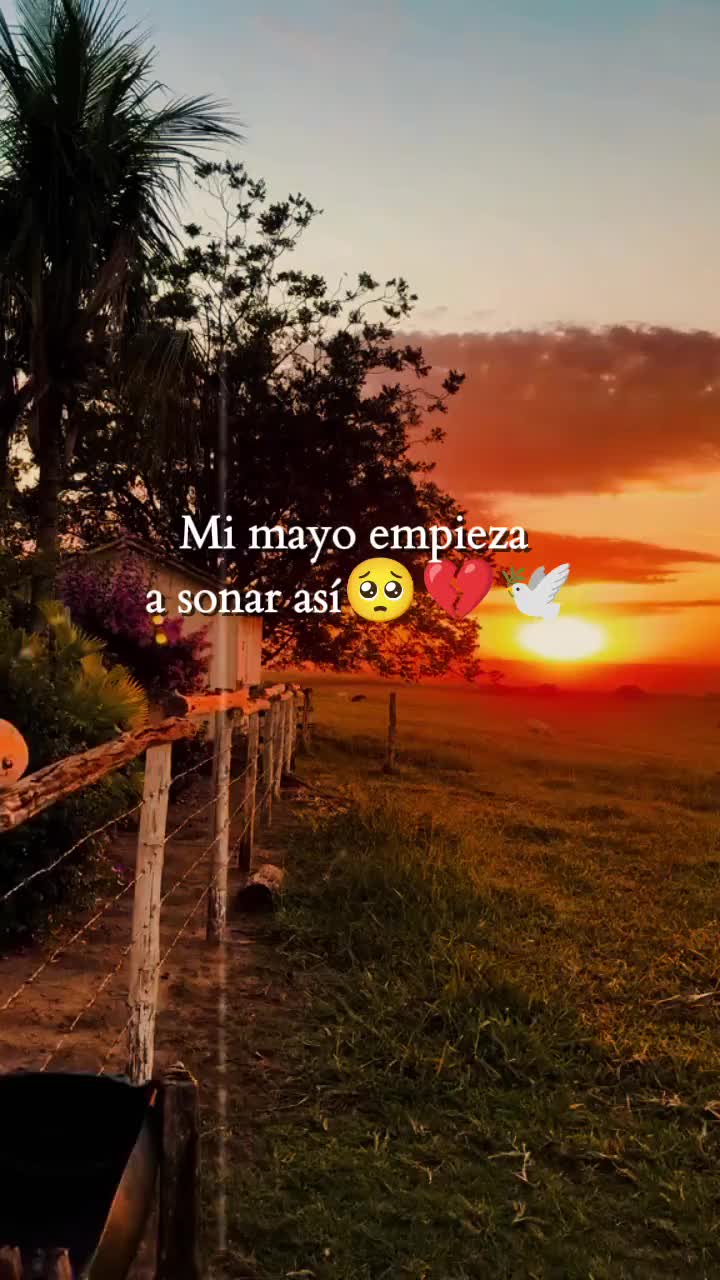 @🐅Estuardo🐅