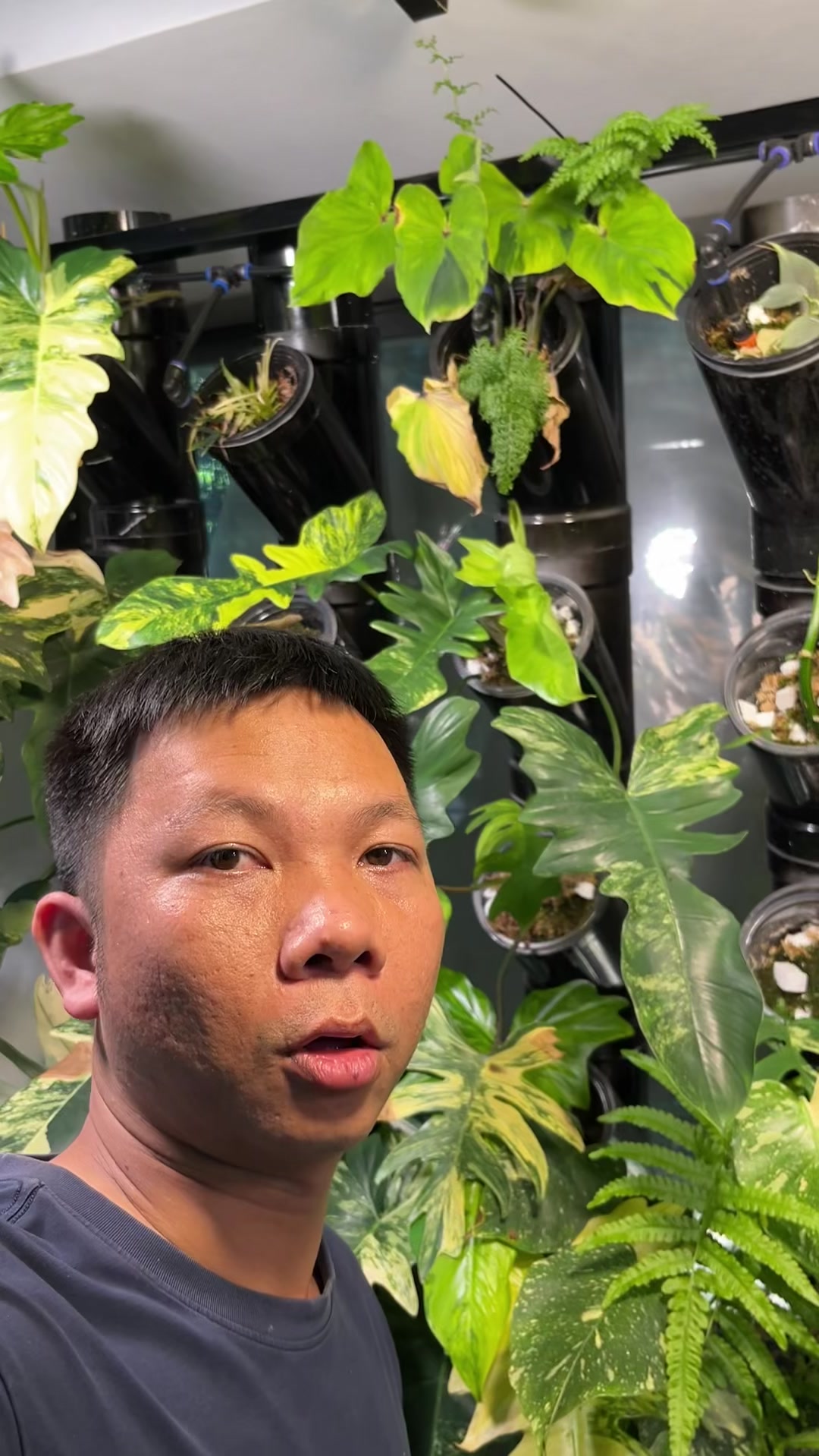 @Huy Kiểng L&aacute;