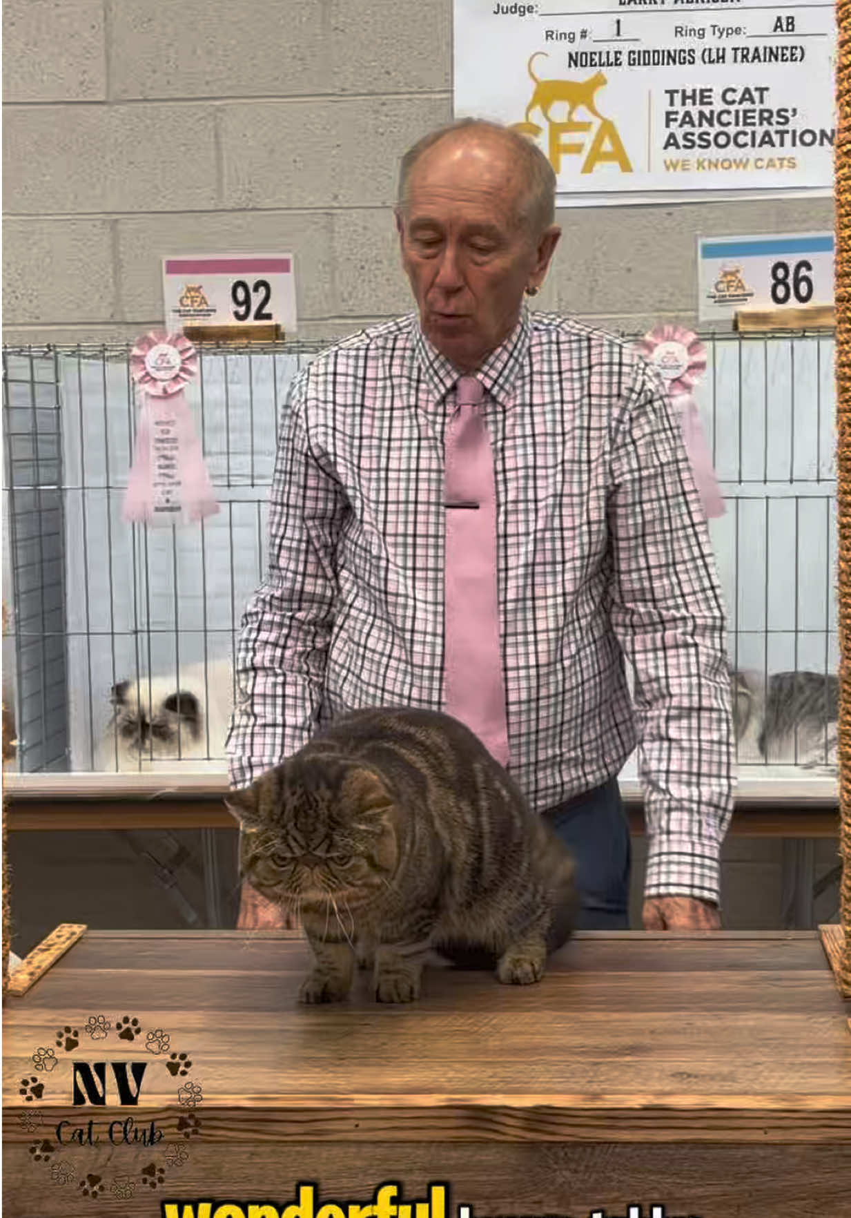 @NewVisionCatClub