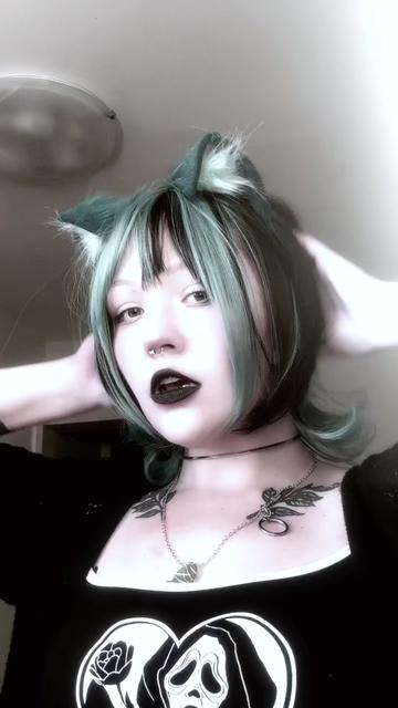 @hanekawakitty