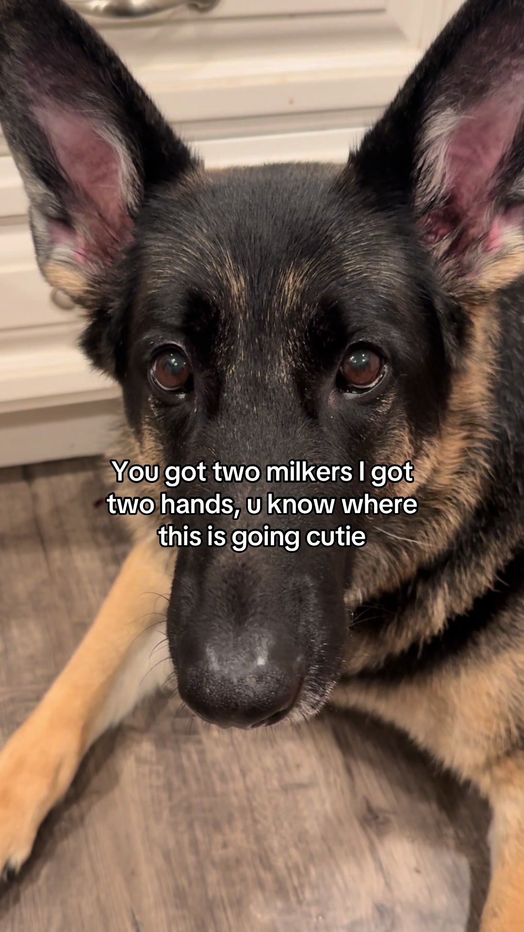 @Bhris