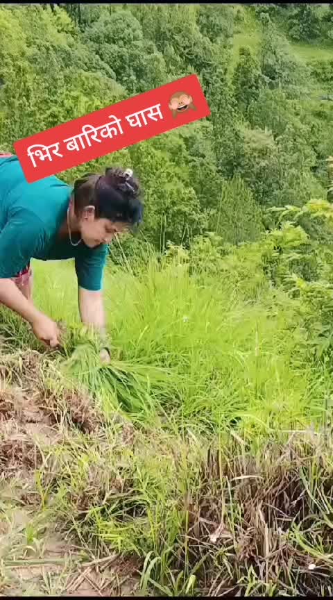 @Nirmala nepali