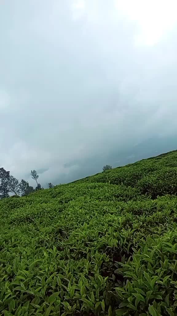@Bharat Chhinal🇳🇵