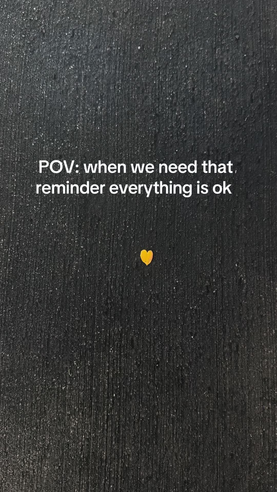 @kodi_1517