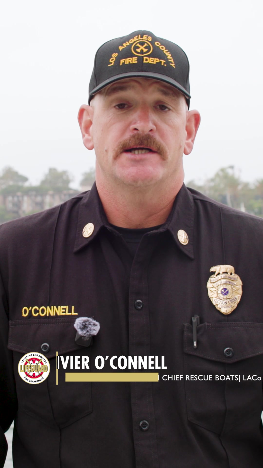 @lacolifeguards