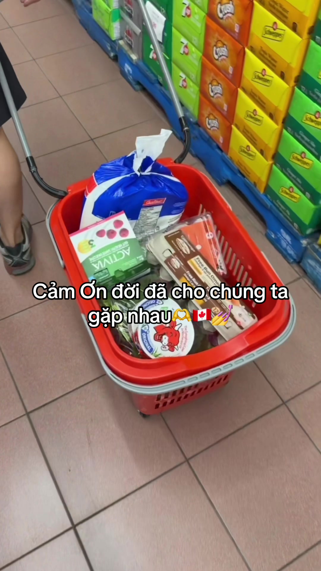 @KimmieNails🇻🇳&hearts;️🇨🇦Tấu H&agrave;i😜