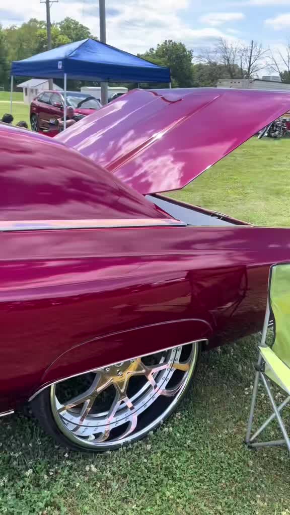 @85cutlsx