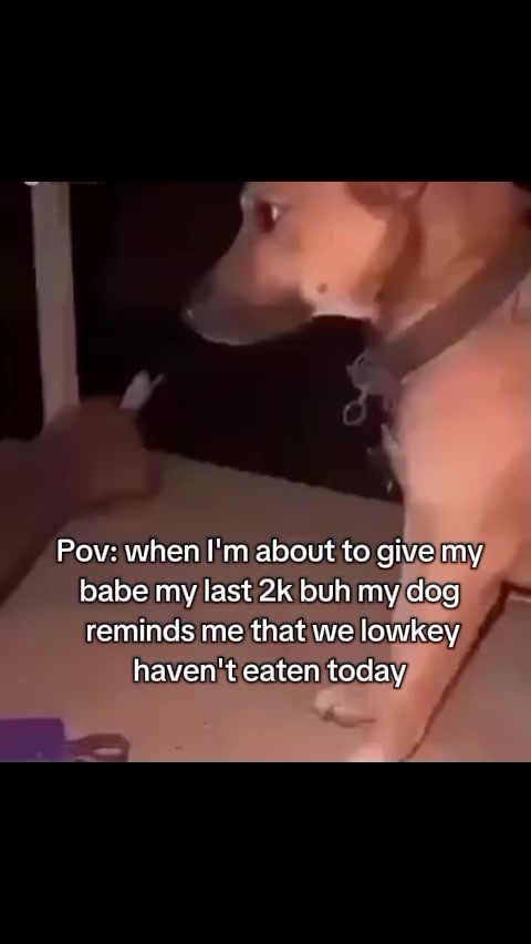 @𝟓✰aboki