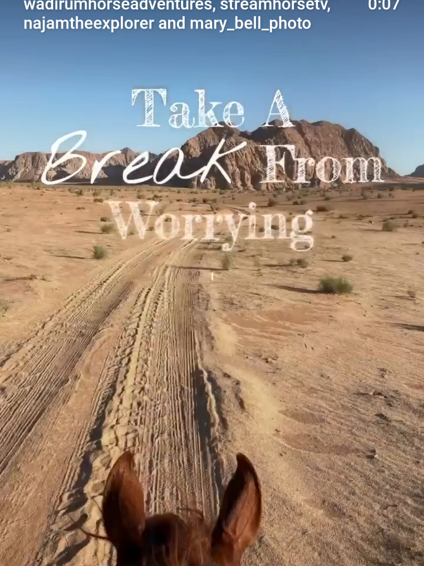 @streamhorse
