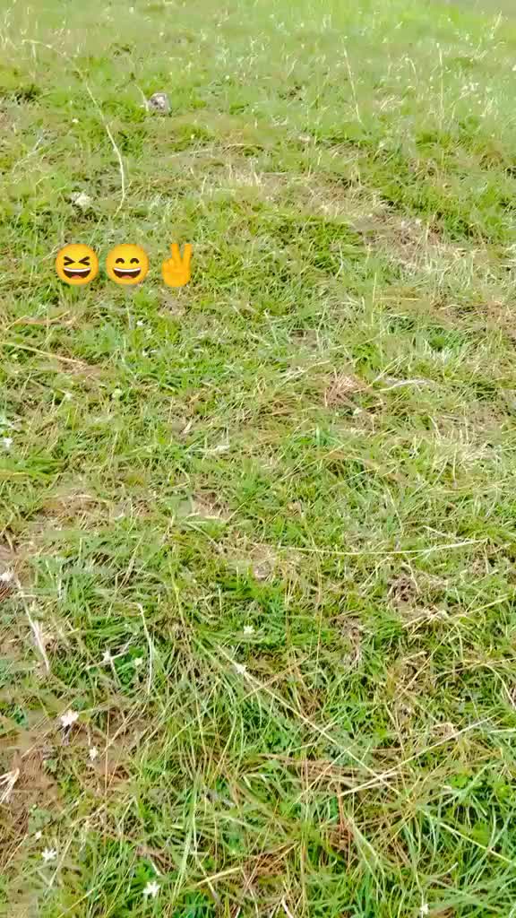 @👑JANI👑