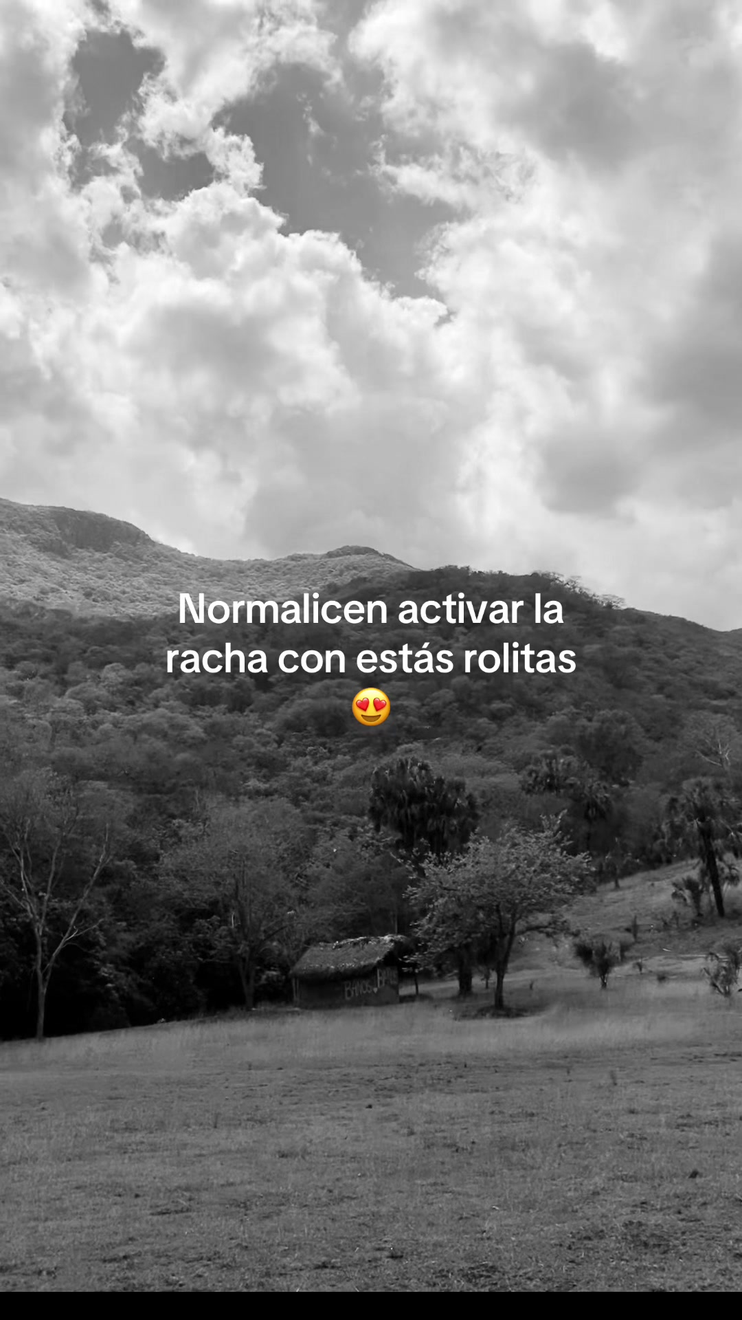 @David LH🪖👹..