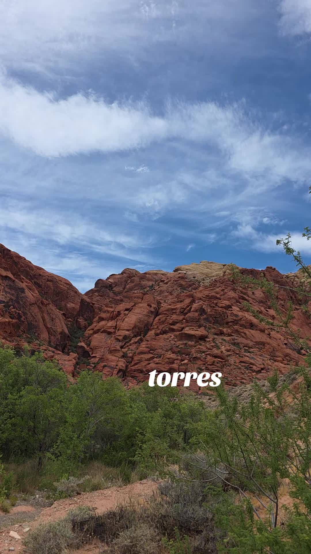 @Estela Torres