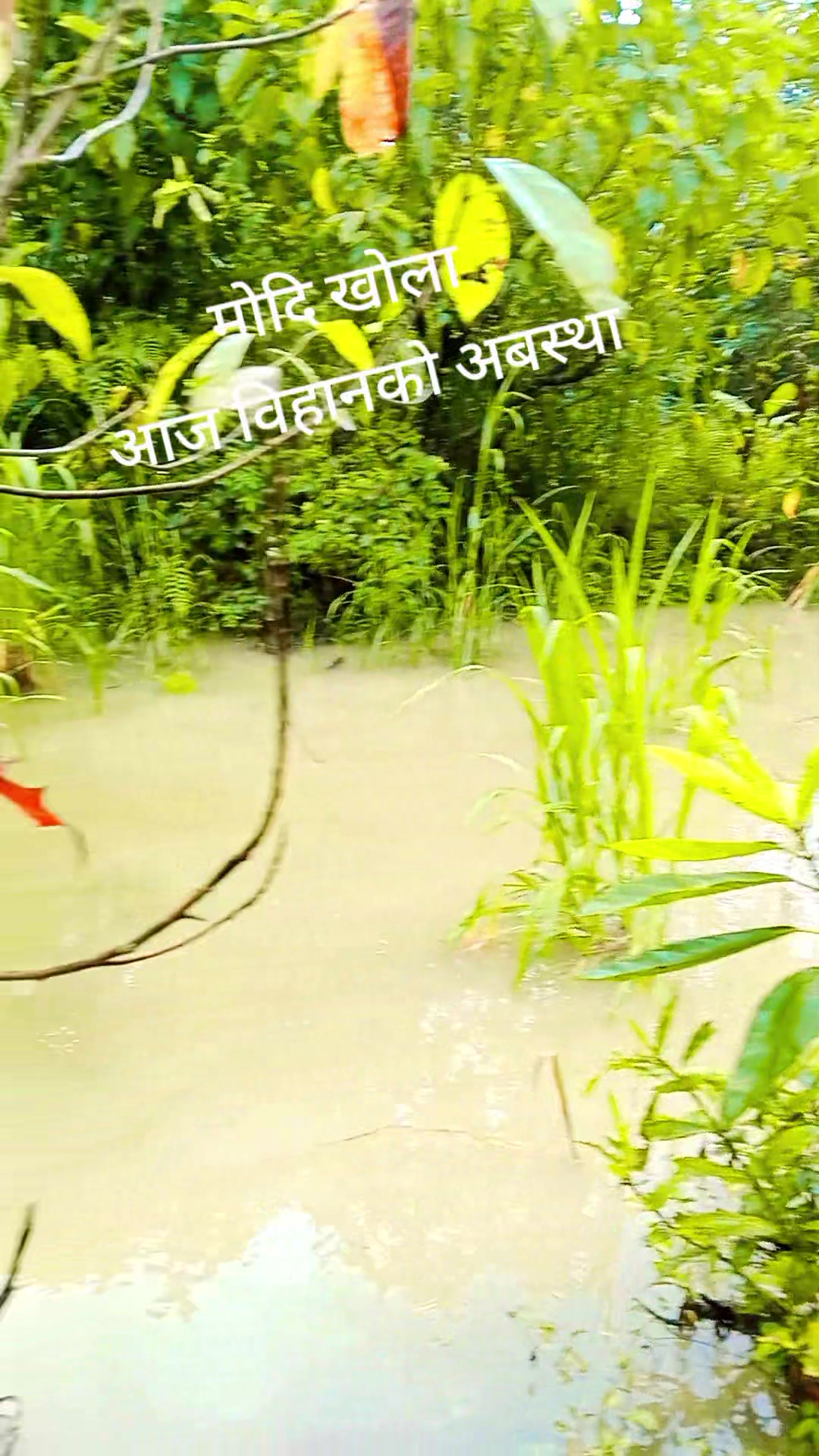 @Krishna Adhikari
