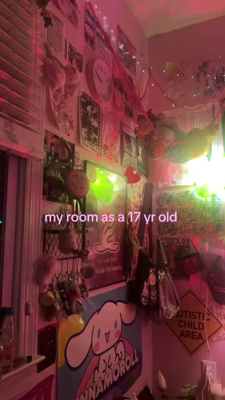 @🪷 𓋹*🪽ੈ✩‧₊˚