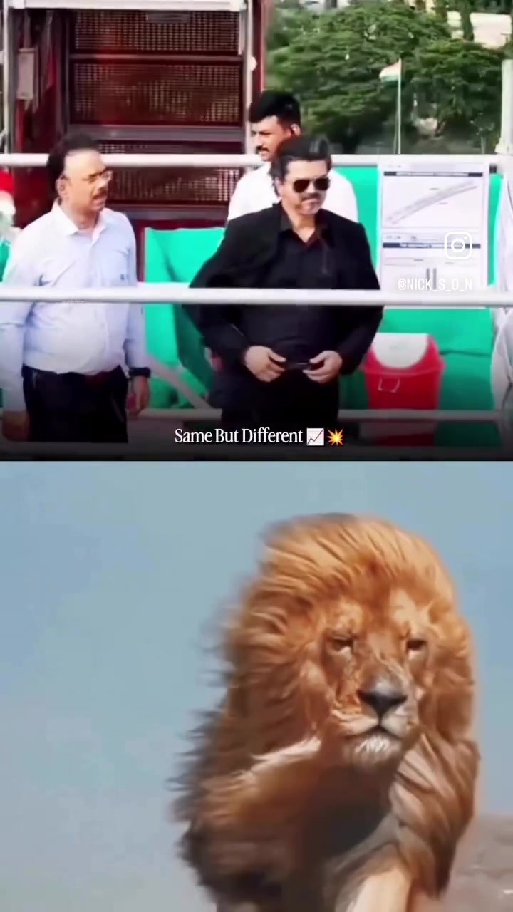 @Mimi
