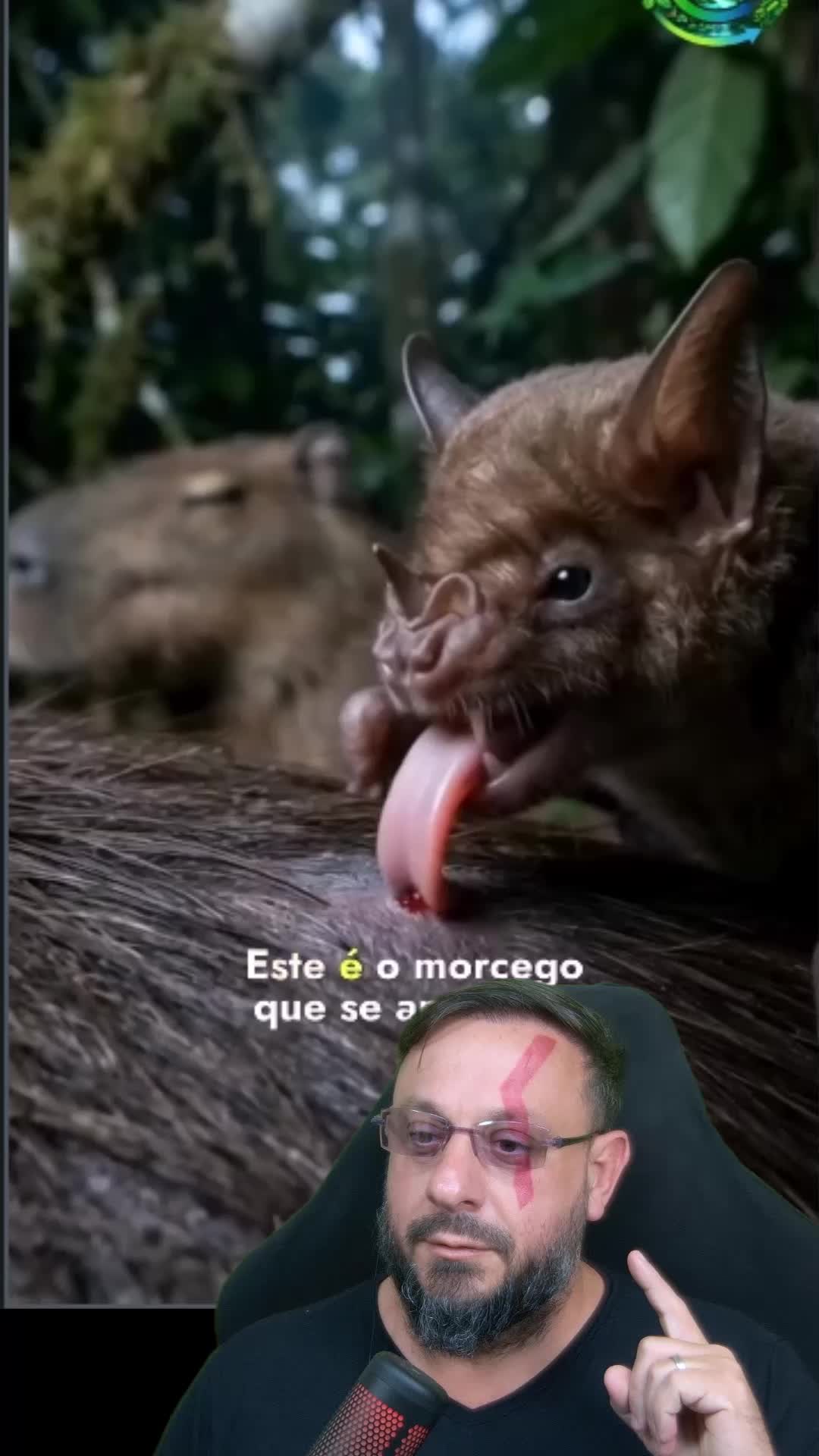 @Biólogo Henrique