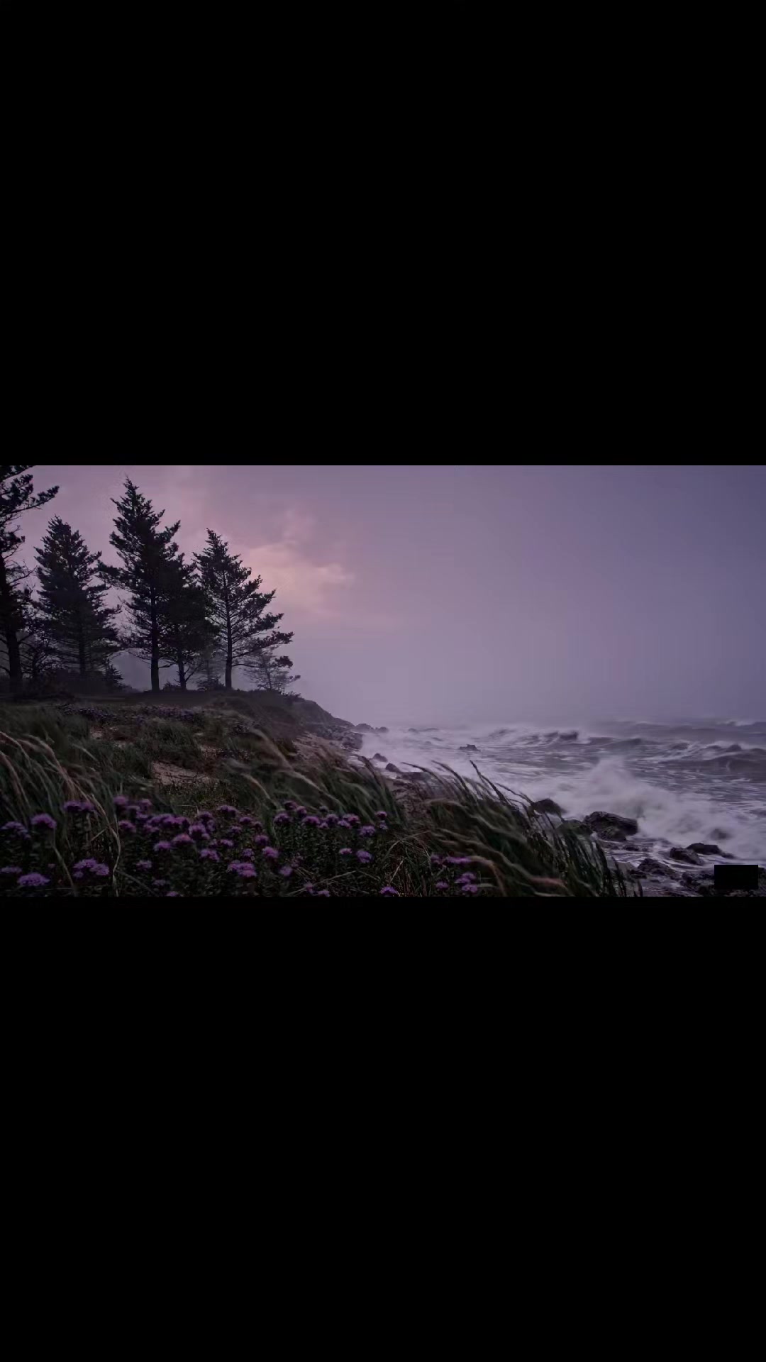 @minimike || pmghxst