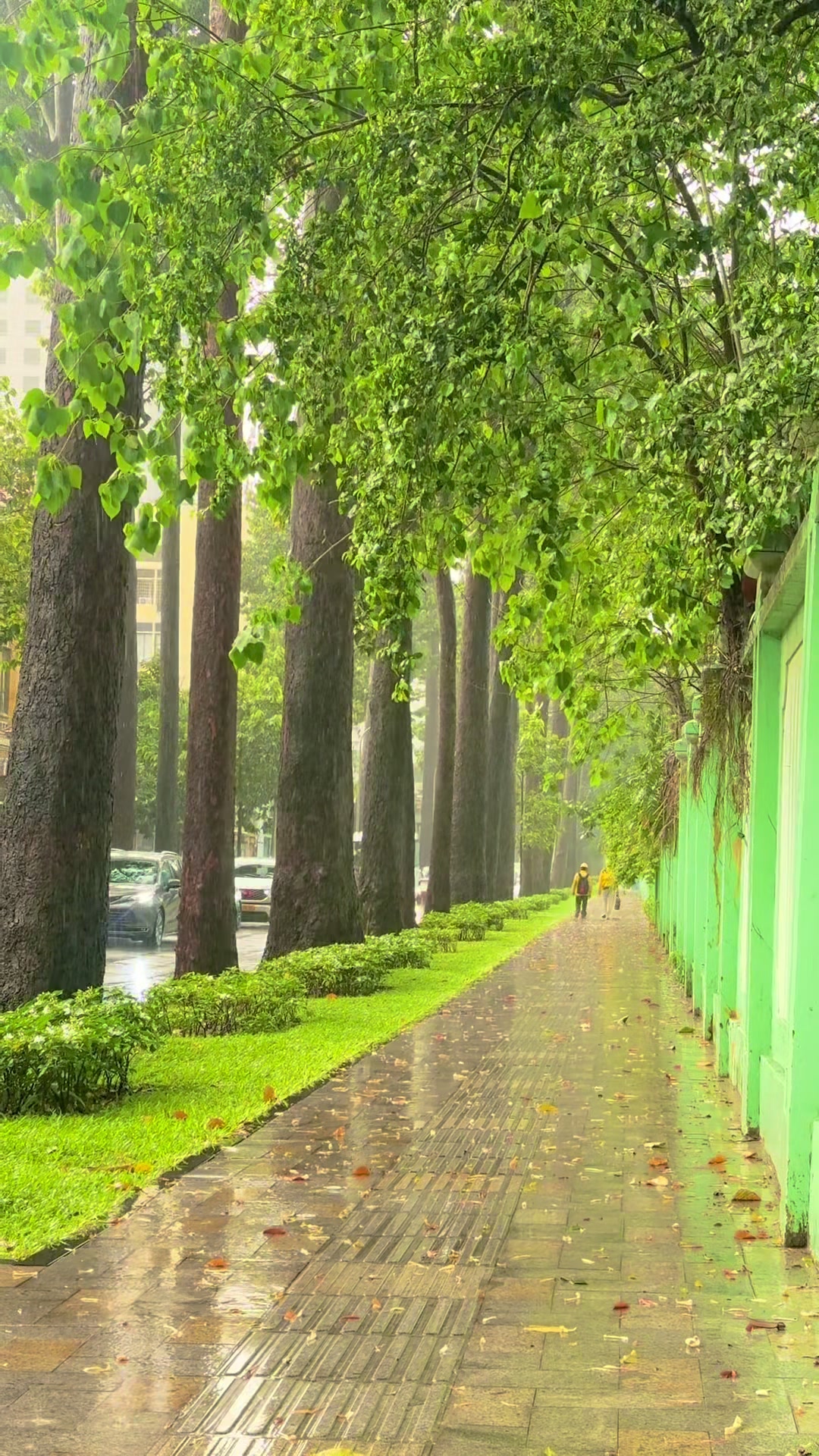 @S&agrave;i G&ograve;n City View