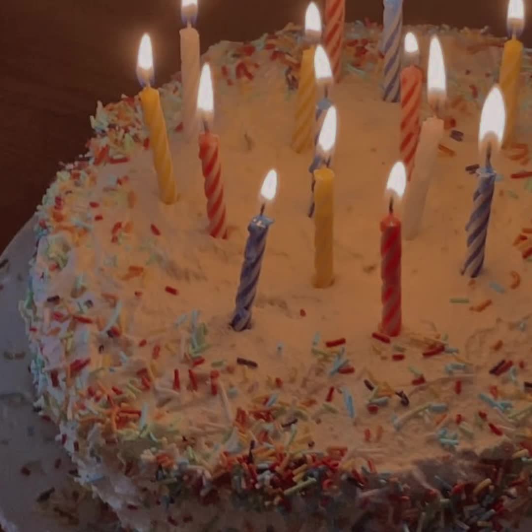 @Sealie 🦭🍮