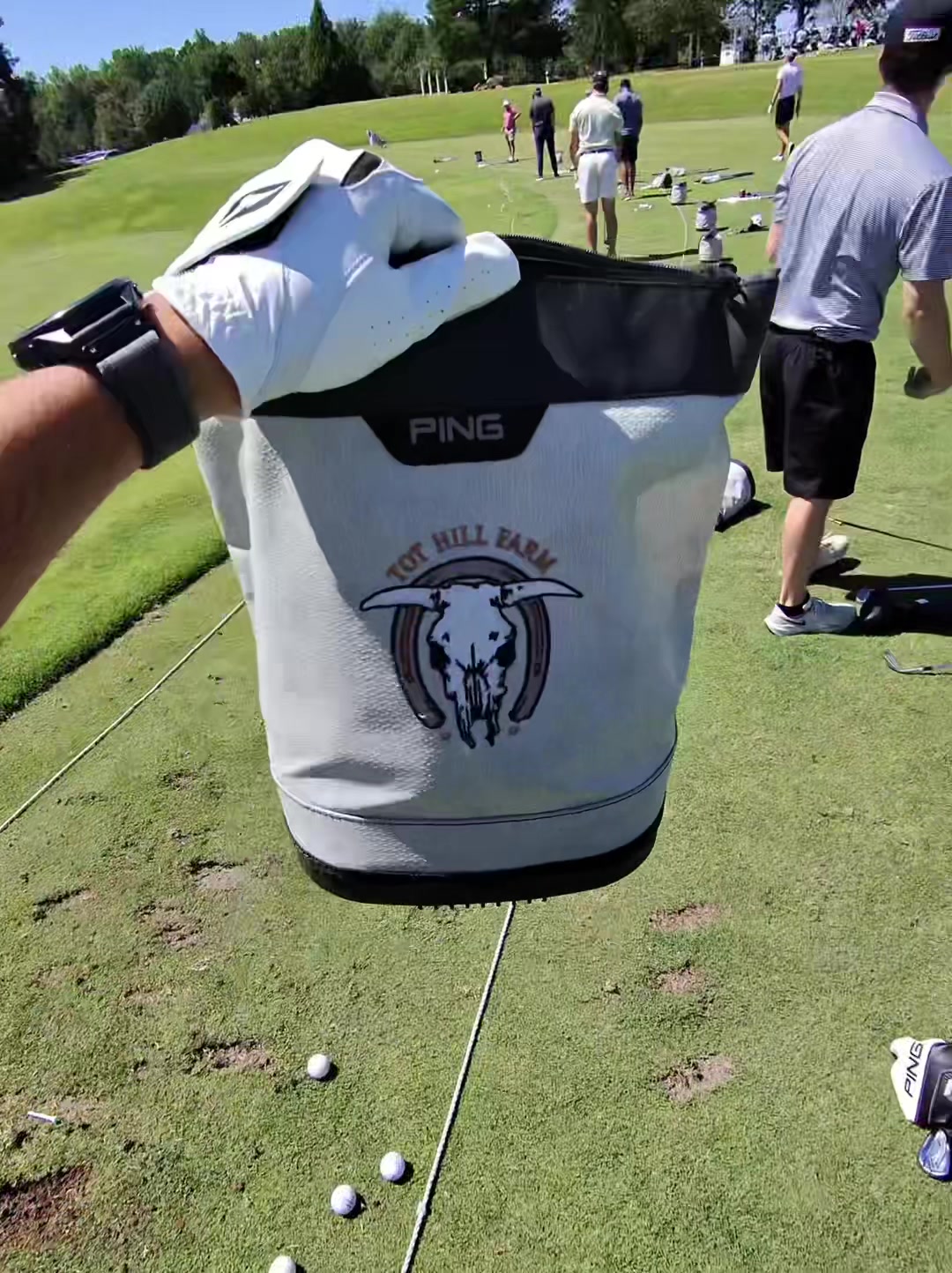 @colecuzzi.golfs