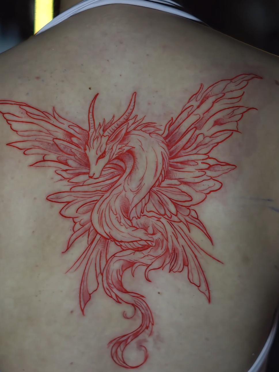 @TATUATHOR