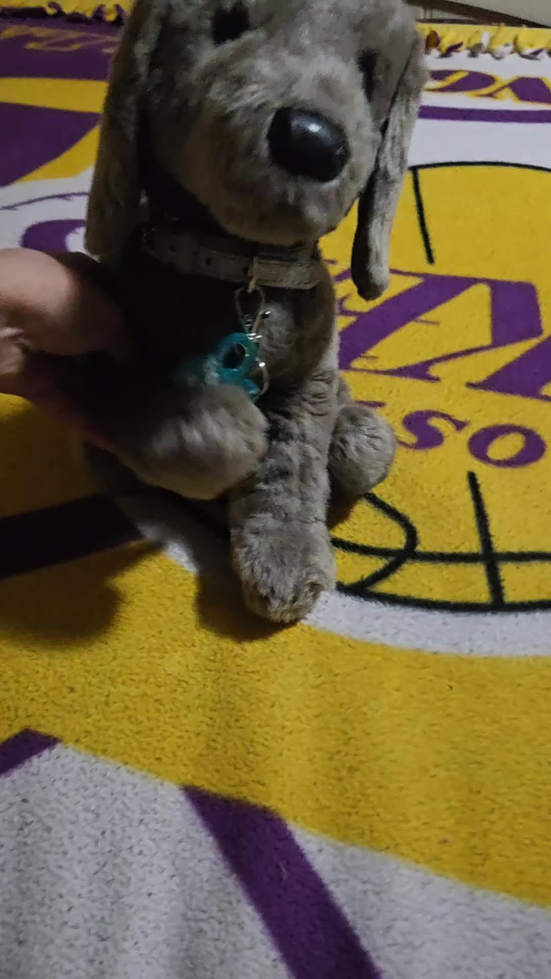 @🪸🦭🪼IsabellaandDino🪸🫍🐬