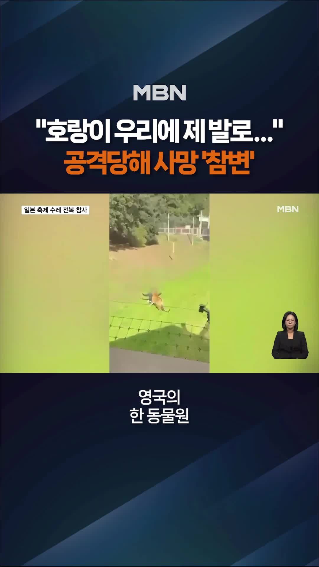 @MBN NEWS