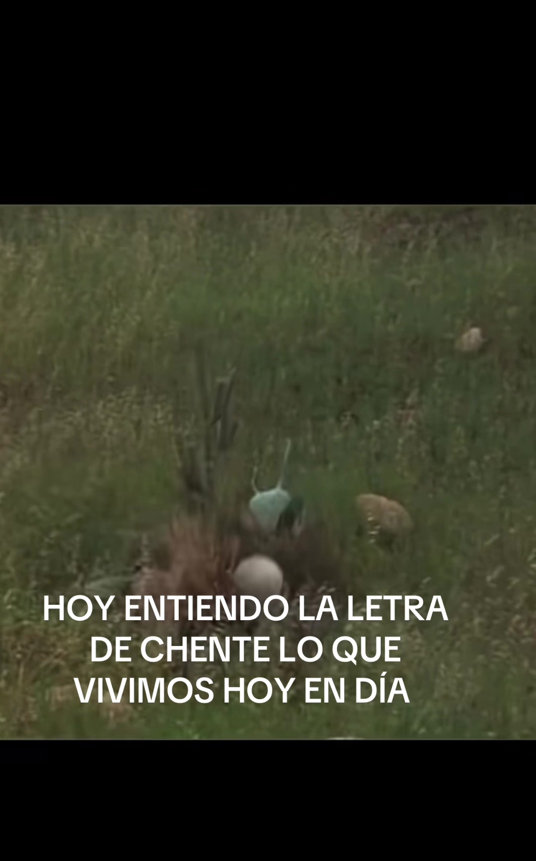 @🇸🇻SUJEYLY🇺🇸LADAMA❤️DEROJO