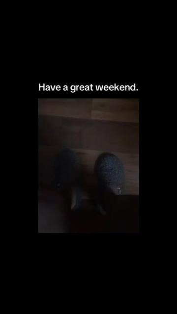 @daniece100