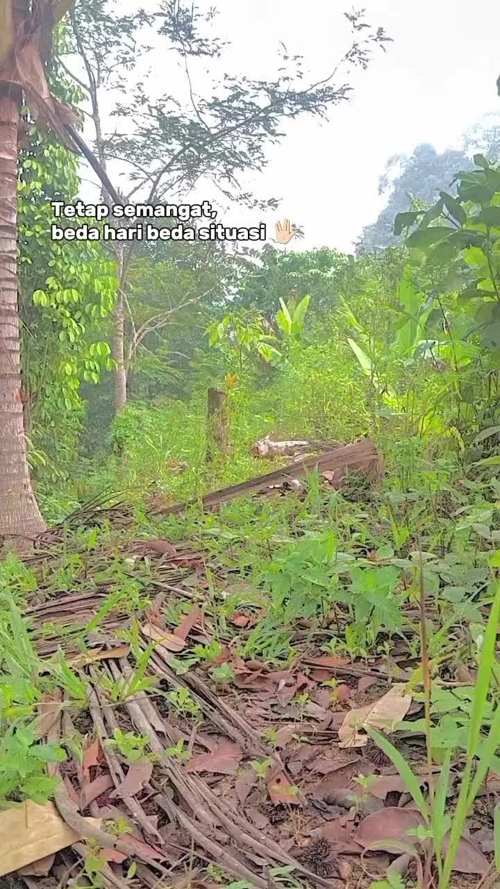 @Srindit kaltara 🦜