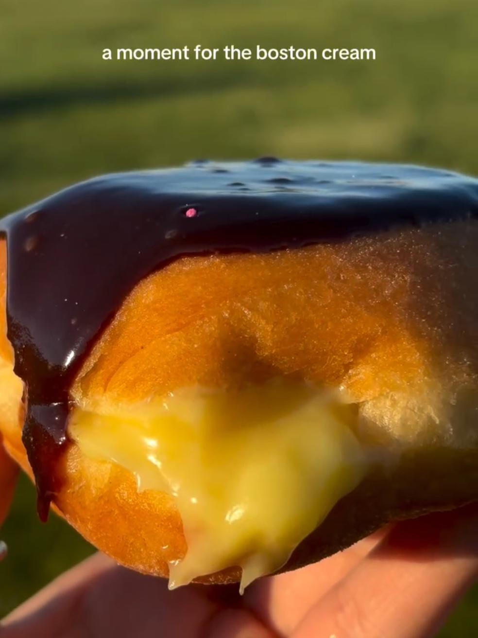 @Donuts Explorers