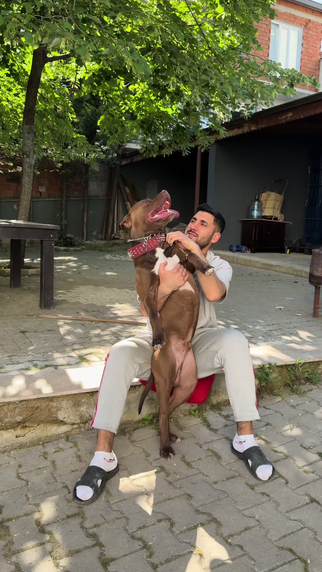 @BARUTBEYY🐶