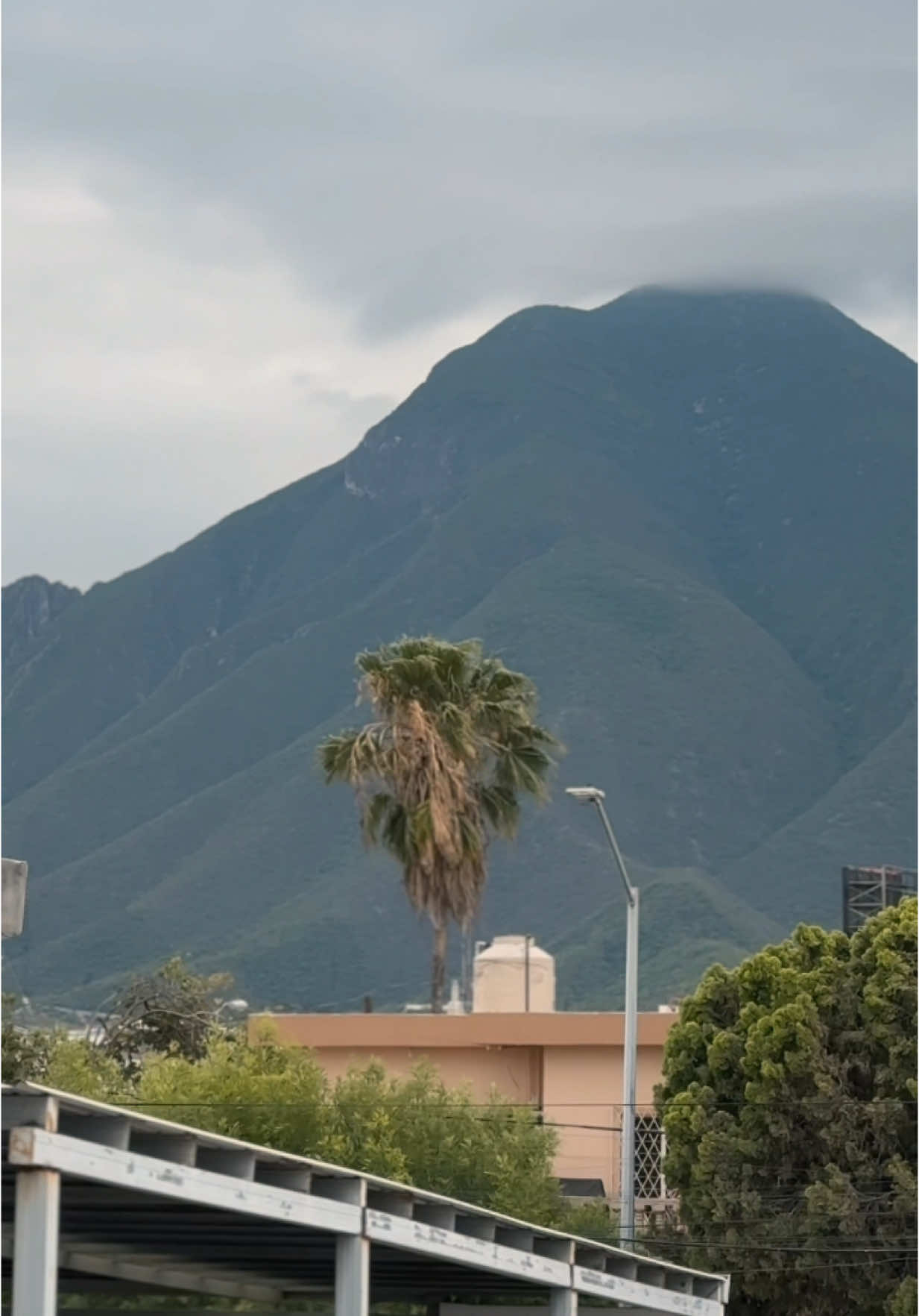 @Eduardo Andrés Dueña