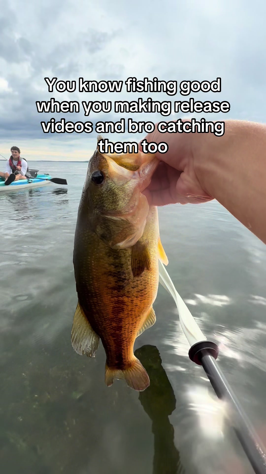 @House of Fishing